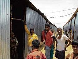 yes, we stay here: Residents of Chikkamanchali, worst hit village in Raichur district, still in temporary sheds though they go haywire during high speed wind. dh Photo
