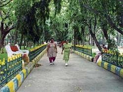 Calm: Health-conscious people visit parks regularly.