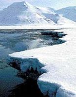 New findings reveal that we are losing ice at the Arctic at an alarming rate.