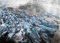 Inventive thought : Vinita Khannas work Aquapura