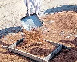 'Hunger deaths on rise in country'