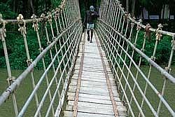 The hanging bridge which connects Padukudru and Thimmanna Kudru waiting for a facelift.  (Right) A view of the broken planks of the hanging bridge.  DH Photos