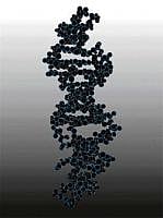 Let's clone a mouse!