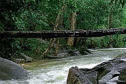 A hanging bridge constructed by the people of Mathav.