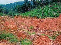 Heap of soil which had caved in during the landslide in 2008. DH photo