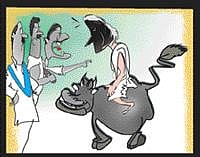 Panchayat parades woman on buffalo