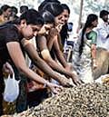 Nutty Fair: Women purchase groundnut at the Parishe in Basavanagudi. DH Photo