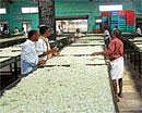 Silk farmers processing cocoons at a facility near Banaglore. From February 2011, prices of cocoons and raw silk have hit the pits seeing a free fall in recent months, after a dramatic reduction in raw silk import duty in the last Union Budget. DH Photo