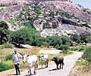 what lies buried? Fields in the Tumkur and Chitradurga regions are rich in iron ore. Photo Sashi Sivramkrishna