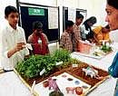 Yes we can: Students of Nallurahalli Government School display model village at the science fair Prabodhana in Bangalore on Saturday. DH PHOTO