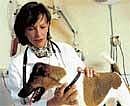 A bright future for veterinary clinical research