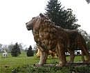A statue of a lion sits in a yard near a property from where exotic animals escaped in Zanesville, Ohio October 19, 2011. Reuters