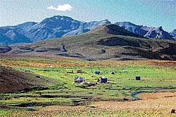 IN THE LAP OF THE HIMALAYAS: The camp organised by Nature  Conservation Foundation was 4,400 m above sea level. photo by the author