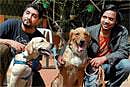 Top dogs take a walk
