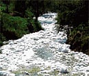 Inability of the Lake Development Authority to stop or divert the inflow of sewage into the lake has been blamed for the failure of the revival project. DH file photo