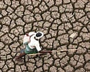 Karnataka MPs protest for drought relief