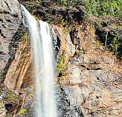 thunderous The slow flowing river suddenly gains momentum as it drops. Photo by the author