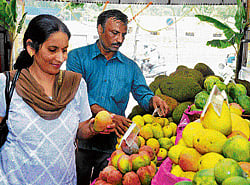People look at varieties of mangoes and jackfruits displayed at the national mango and jackfruit mela on Wednesday. DH Photo