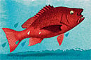 Something fishy Certain fish can smell the fear that other fish feel.  (Ellen Weinstein/NYT)