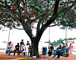 letting go Youngsters got a chance to swing under the tree. DH PHOTOS by manjunath m s