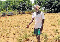 A farmer awaits rainfall in Hosahudya village in Bagepalli taluk. DH Photo