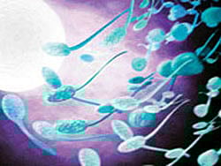 Sperms from the same man have big genetic differences: study