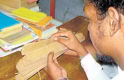 NICHE STUDY: A student examines a palm-leaf manuscript in Sanskrit.