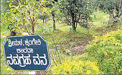 A view of Nakshatra vana developed, at Rishi valley in Menase on the outskirts of Sringeri.