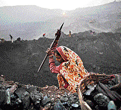 Chastened, govt may put on hold coal allocation