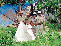 Scene of act: Policemen search for weapons used by Bettanagere Seena during  the encounter at Syndicate Bank Colony, Herohalli on Friday. dh photo