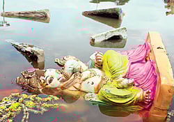 Ganesha idol made of chemical colours floats, days after its immersion.