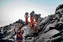 BLACK GOLD: Investigators now say that some of the favoured applicants, having acquired the coalfields free, quickly sold them for crores of rupees to steel or power companies.