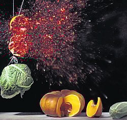 exhibit displaying the path of a bullet shot through a pomegranate.