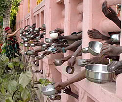 Rotting grain has deprived food to 80 million people
