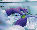 Emerging careers in stem cell research
