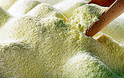 KMF's 'milk of kindness' towards schoolchildren