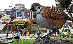 cityscape Delhis state bird, house sparrow takes centrestage at Delhi pavilion, at IITF 2012.