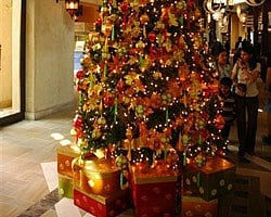 One, two, time to deck up the tree...