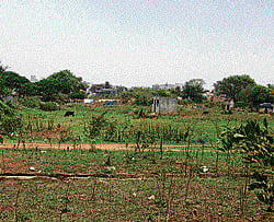 The Bangalore Development Authority will soon fence the Mestripalya Lake bed. DH photo