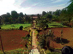 CENTRE OF ATTRACTION Uduthadys lush landscape is home to a temple built in memory of social reformer, Akka Mahadevi. (photos by the author)