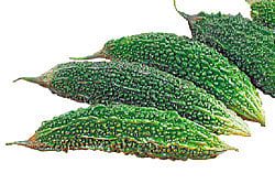 The sweet tale of a bitter fruit