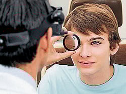 Fish stem cells may restore human vision