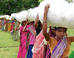 Women have to bear the brunt.