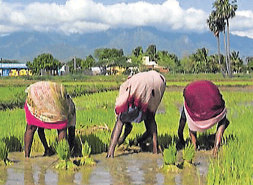 Moving a clip from the film.