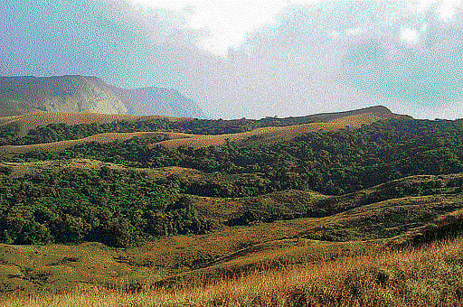 No walk in the park, this!