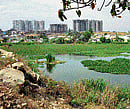 REPRIEVE AT LAST: Subramanyapura Lake was mentioned as a pasture land in government lands for more than a century.