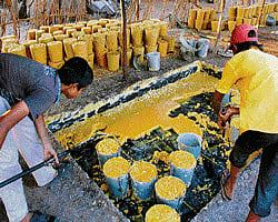 WHATS COOKING? Jaggery making is a familiar sight in most regions of Gulbarga district. (Photos by the author)