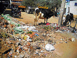 some relief The BBMP will be able to excavate, process and dispose of the existing garbage through biomining technology. DH Photo
