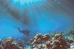 Bacteria thrive in earth's deepest site