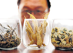 Herbal medicine may cause kidney failure